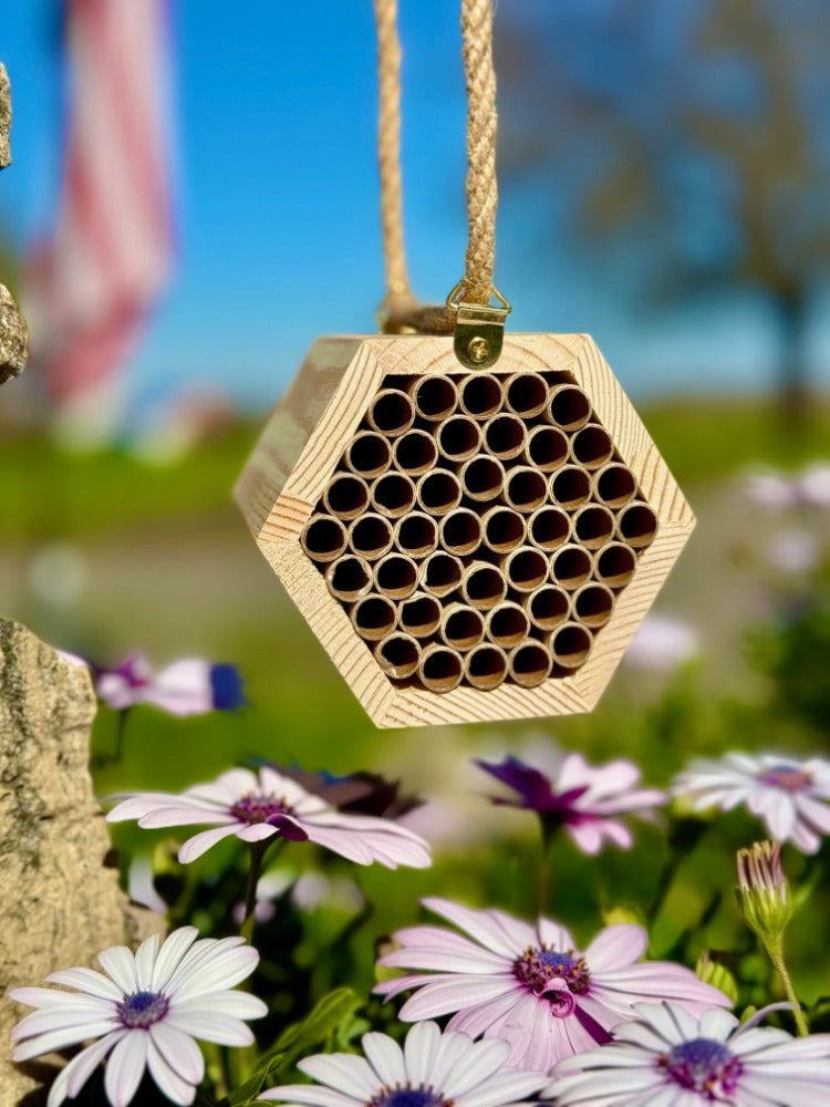 The Honeycomb Hideaway - A Cozy Retreat for Bees!