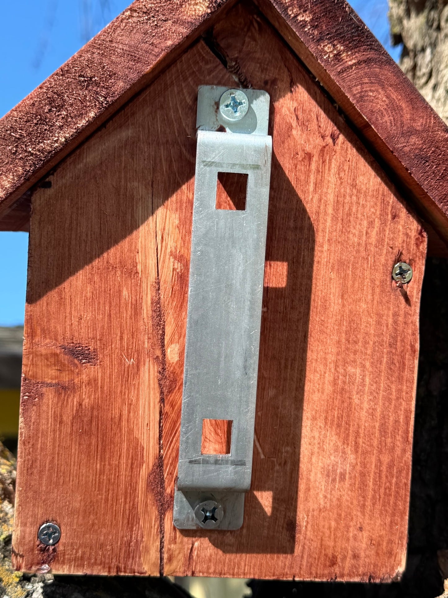 Dwayne's First Deluxe Bird House
