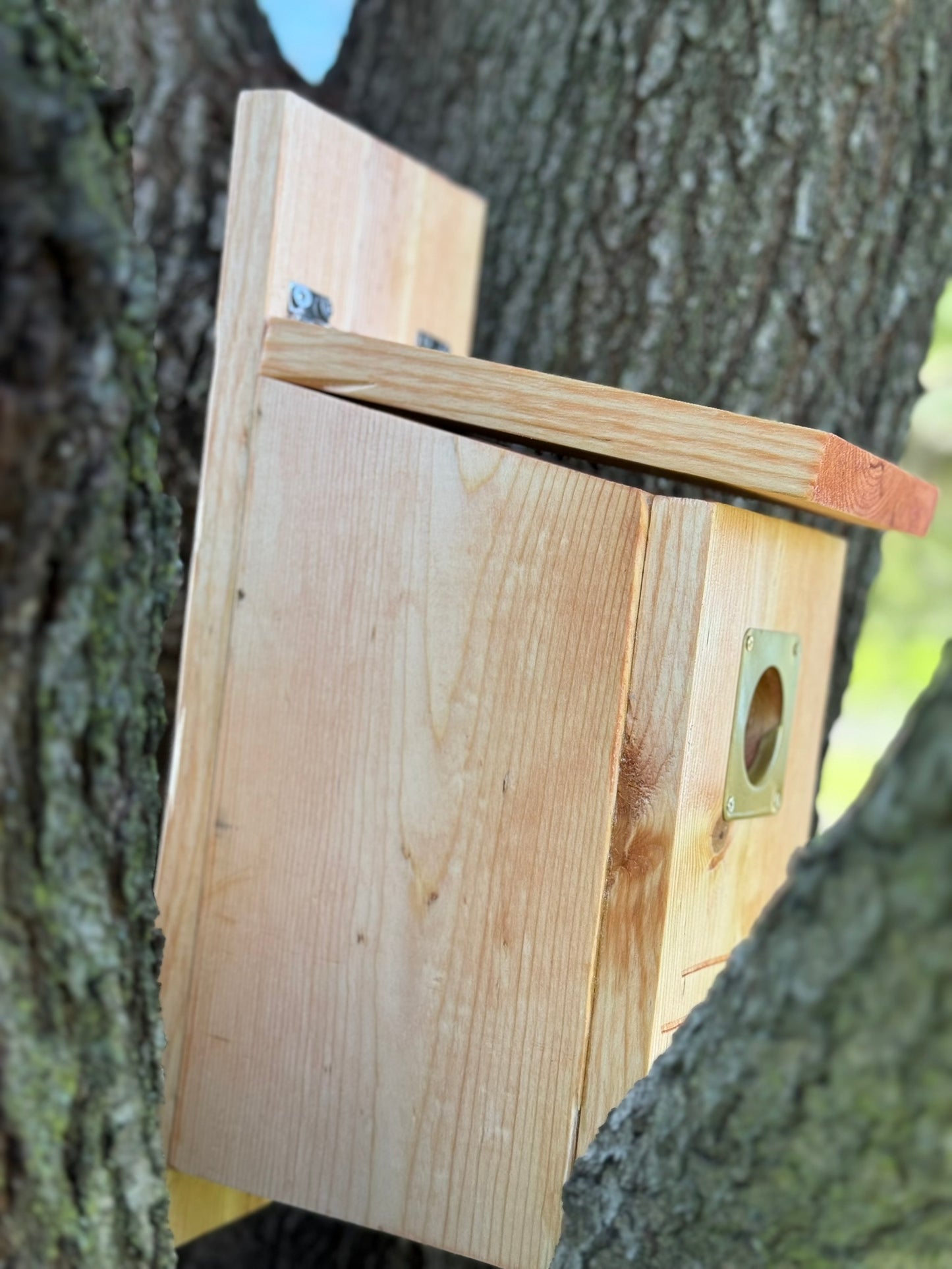 Handcrafted Wooden Birdhouse - A Safe Haven for Backyard Birds