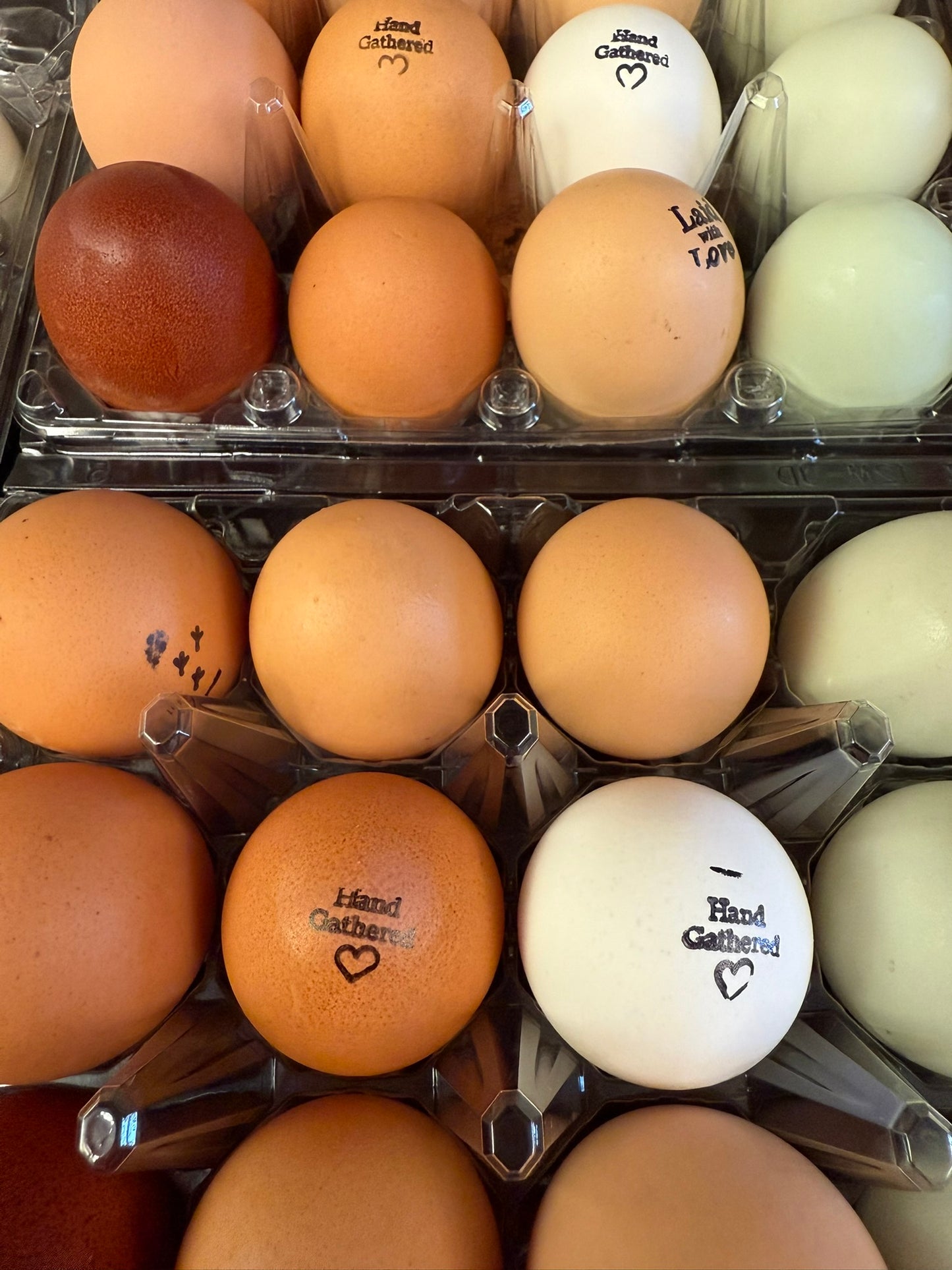 Farm Fresh Eggs – One Dozen (One Time Delivery)
