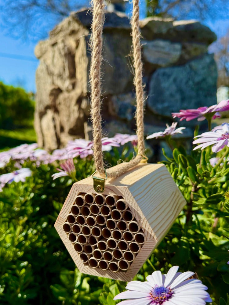 The Honeycomb Hideaway - A Cozy Retreat for Bees!