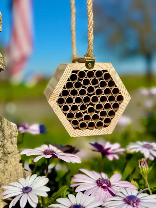 The Honeycomb Hideaway - A Cozy Retreat for Bees!