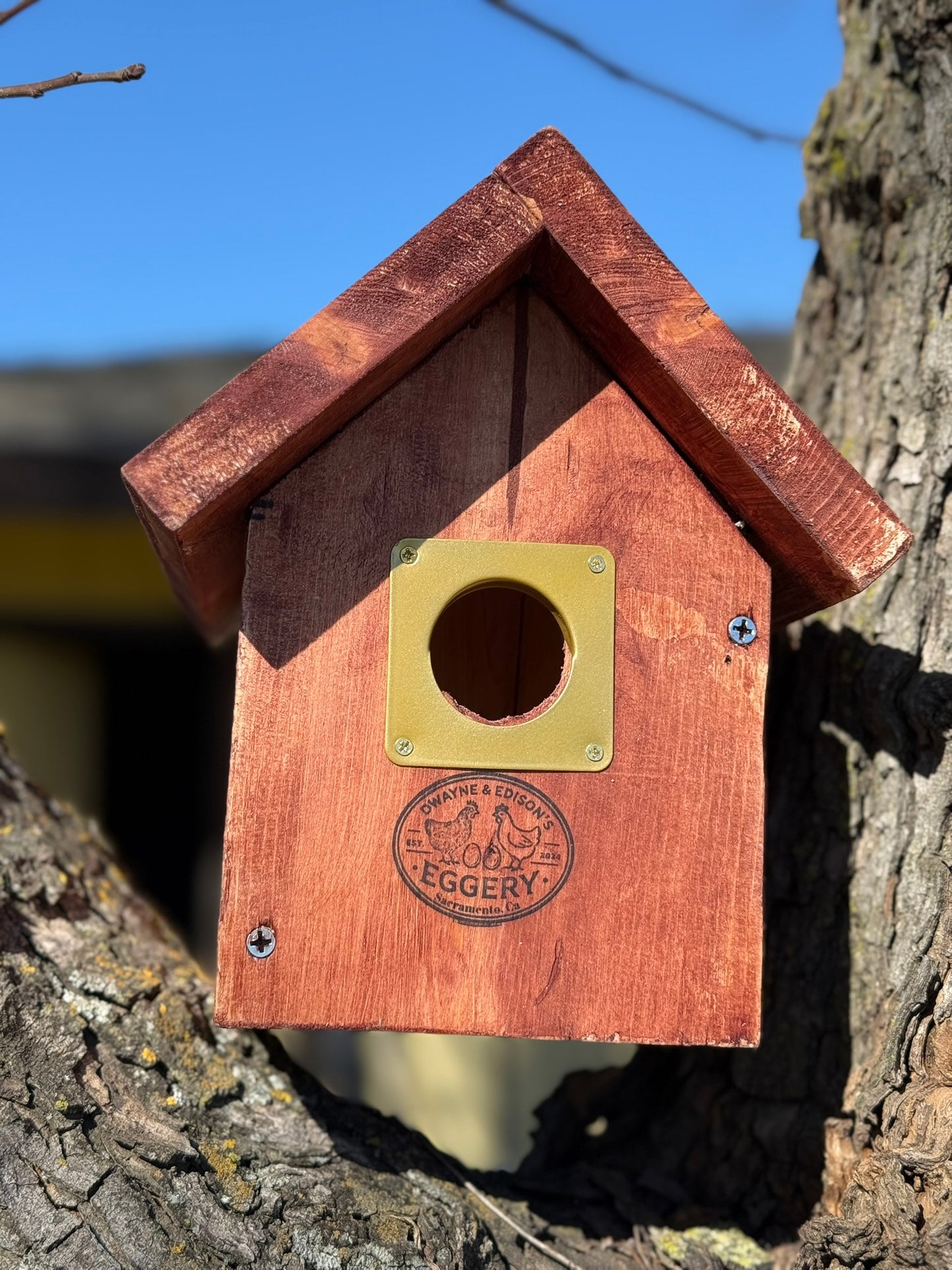 Dwayne's First Deluxe Bird House