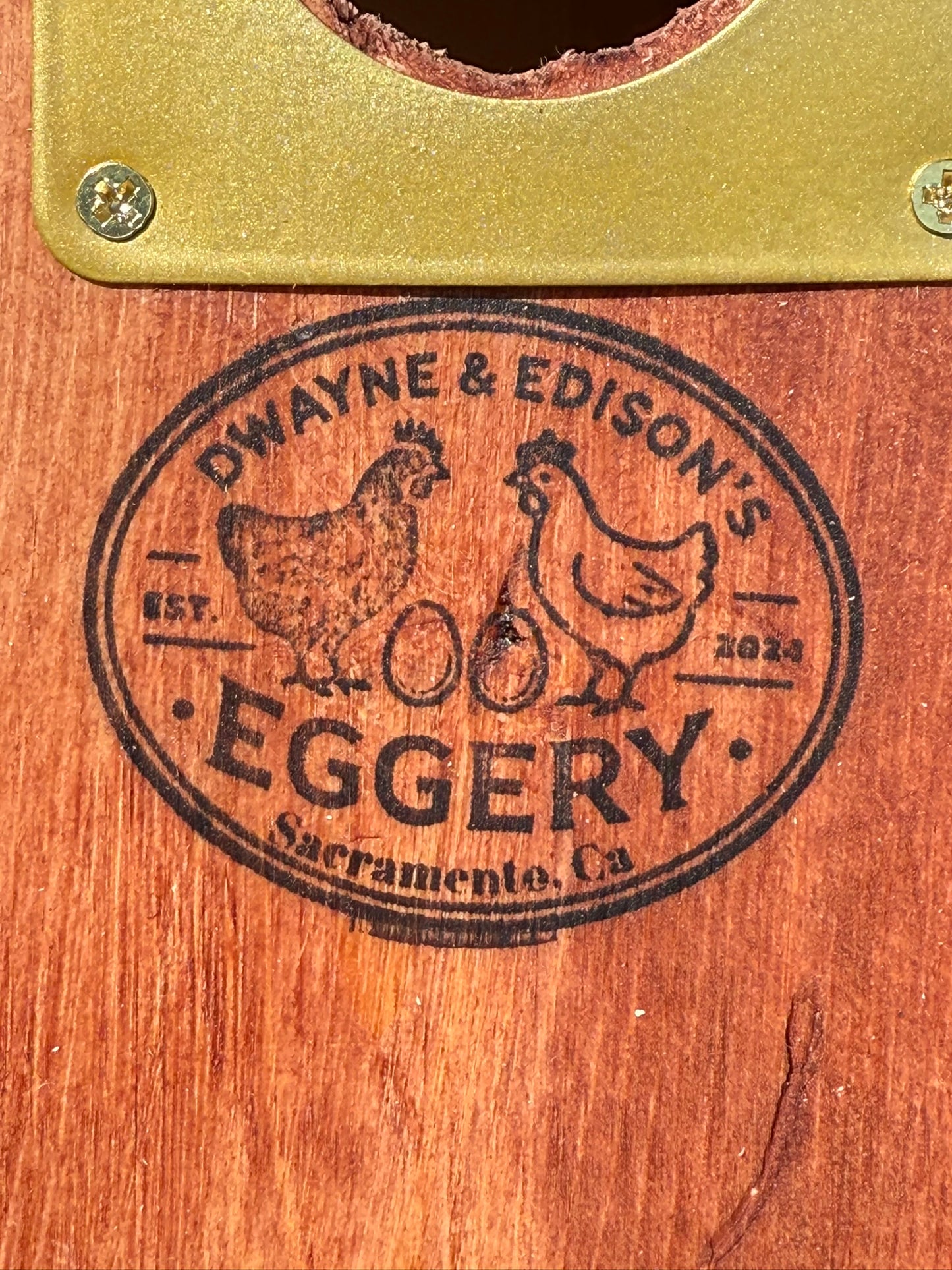 Dwayne's First Deluxe Bird House