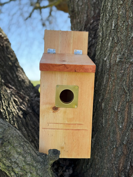 Handcrafted Wooden Birdhouse - A Safe Haven for Backyard Birds