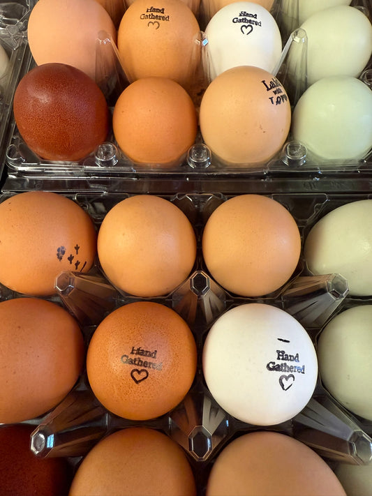Farm Fresh Eggs – One Dozen (One Time Delivery)