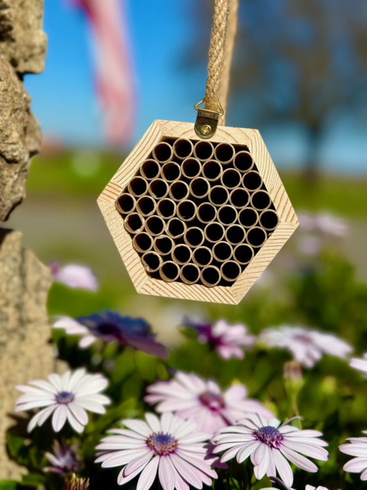 The Honeycomb Hideaway - A Cozy Retreat for Bees!